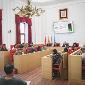 Pleno Ayto. Mérida