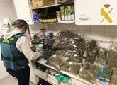 Vendía droga con la tapadera de "club botánico" Vendía droga con la tapadera de "club botánico"
