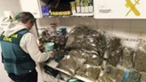 Vendía droga con la tapadera de "club botánico" Vendía droga con la tapadera de "club botánico"