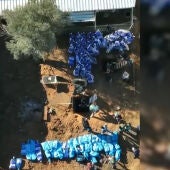 El alijo de cocaína localizado en la finca de Coria del Río (Sevilla) por la Guardia Civil. 