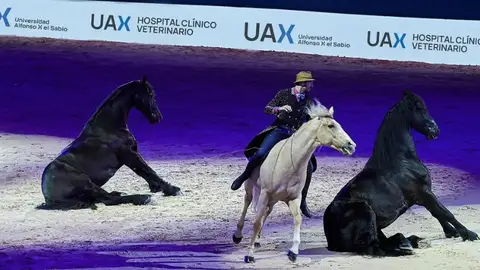 Ifema Madrid Horse Week Ifema Madrid Horse Week