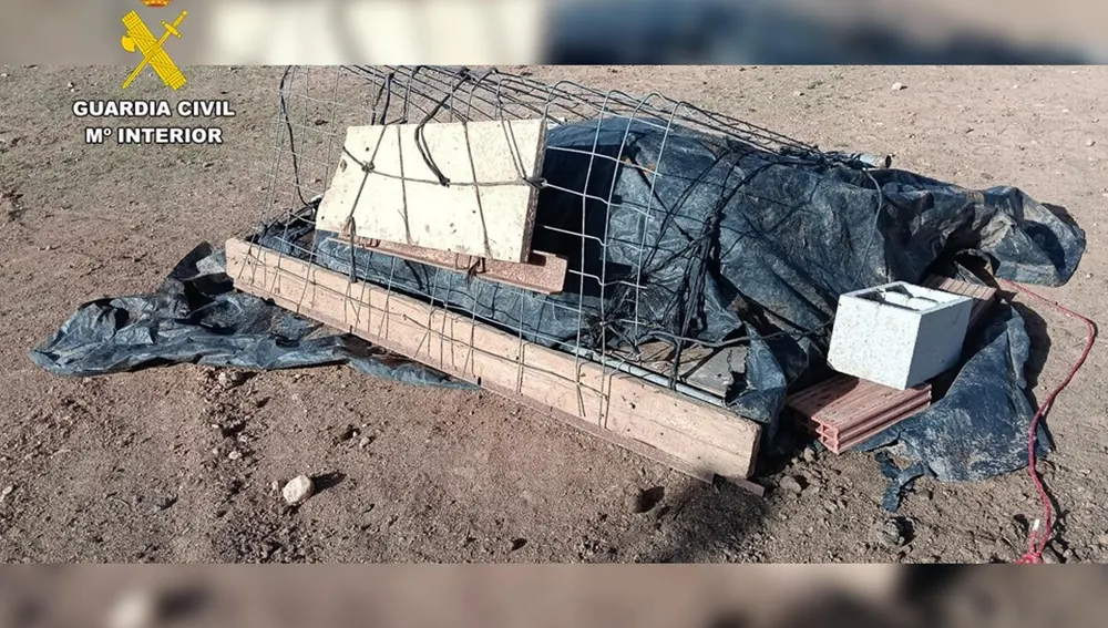 El cadáver de un caballo que estaba tapado en la finca. El cadáver de un caballo que estaba tapado en la finca.