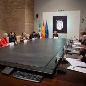 Consejo de Gobierno Junta de Extremadura