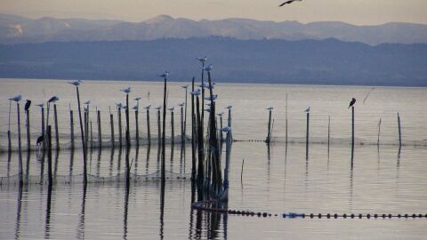 Lago de l'Albufera