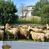 Proyecto "Trescasas Naturaleza Viva"