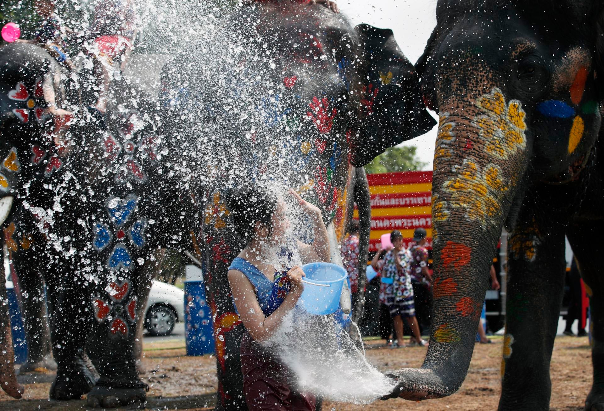 Muere una turista española tras ser atacada por un elefante en Tailandia Muere una turista española tras ser atacada por un elefante en Tailandia
