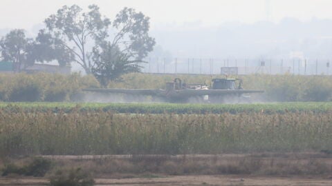 Una de las explotaciones agroindustriales emplazadas en Los Carrizales de Elche..