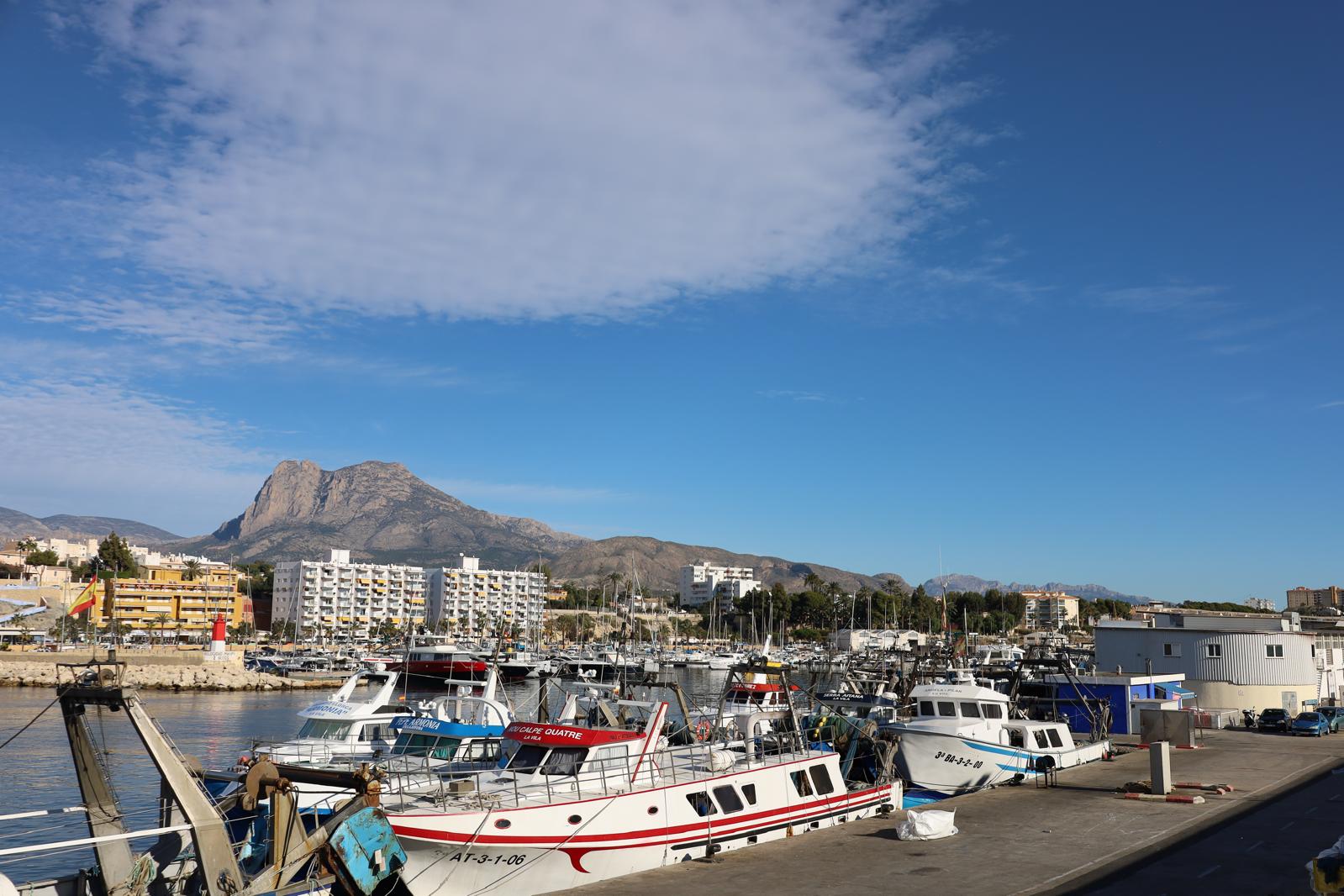 La Cofradía de La Vila podría terminar el último trimestre del año como empezó: con la flota amarrada La Cofradía de La Vila podría terminar el último trimestre del año como empezó: con la flota amarrada