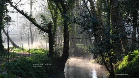 Rio Os Gafos en Pontevedra Cauce fluvial del Gafos en Pontevedra