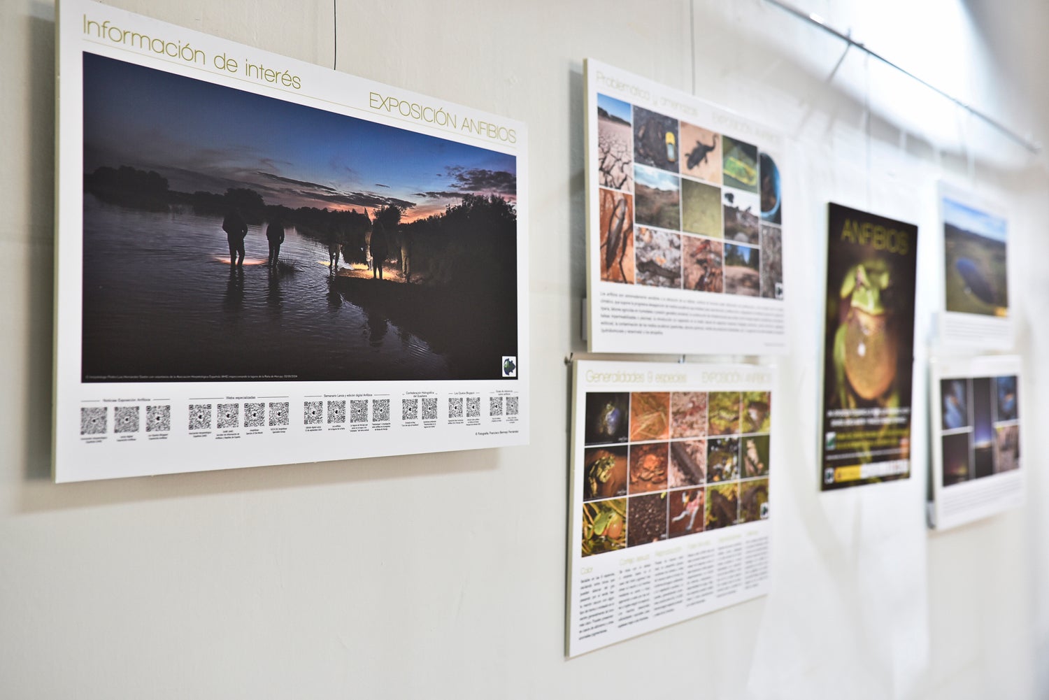 La exposición "Anfibios" estará en la Biblioteca de Castilla La Mancha La exposición "Anfibios" estará en la Biblioteca de Castilla La Mancha