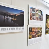Exposición "Anfibios" Exposición "Anfibios"
