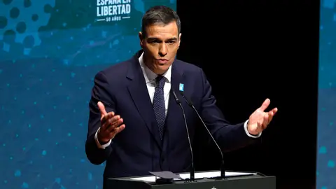 l presidente del Gobierno, Pedro Sánchez, durante su intervención el primer acto por el 50 aniversario de la muerte de Franco l presidente del Gobierno, Pedro Sánchez, durante su intervención el primer acto por el 50 aniversario de la muerte de Franco/ EFE/ Juanjo Martin