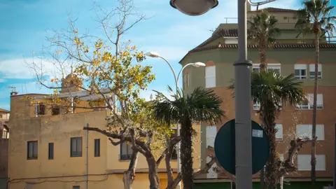 Burriana sustituirá en los próximos cuatro meses todas las luminarias de la ciudad Burriana sustituirá en los próximos cuatro meses todas las luminarias de la ciudad