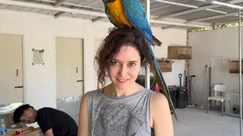 Frank Cuesta muestra las primeras imágenes de Ayuso en su santuario en Tailandia Frank Cuesta muestra las primeras imágenes de Ayuso en su santuario en Tailandia