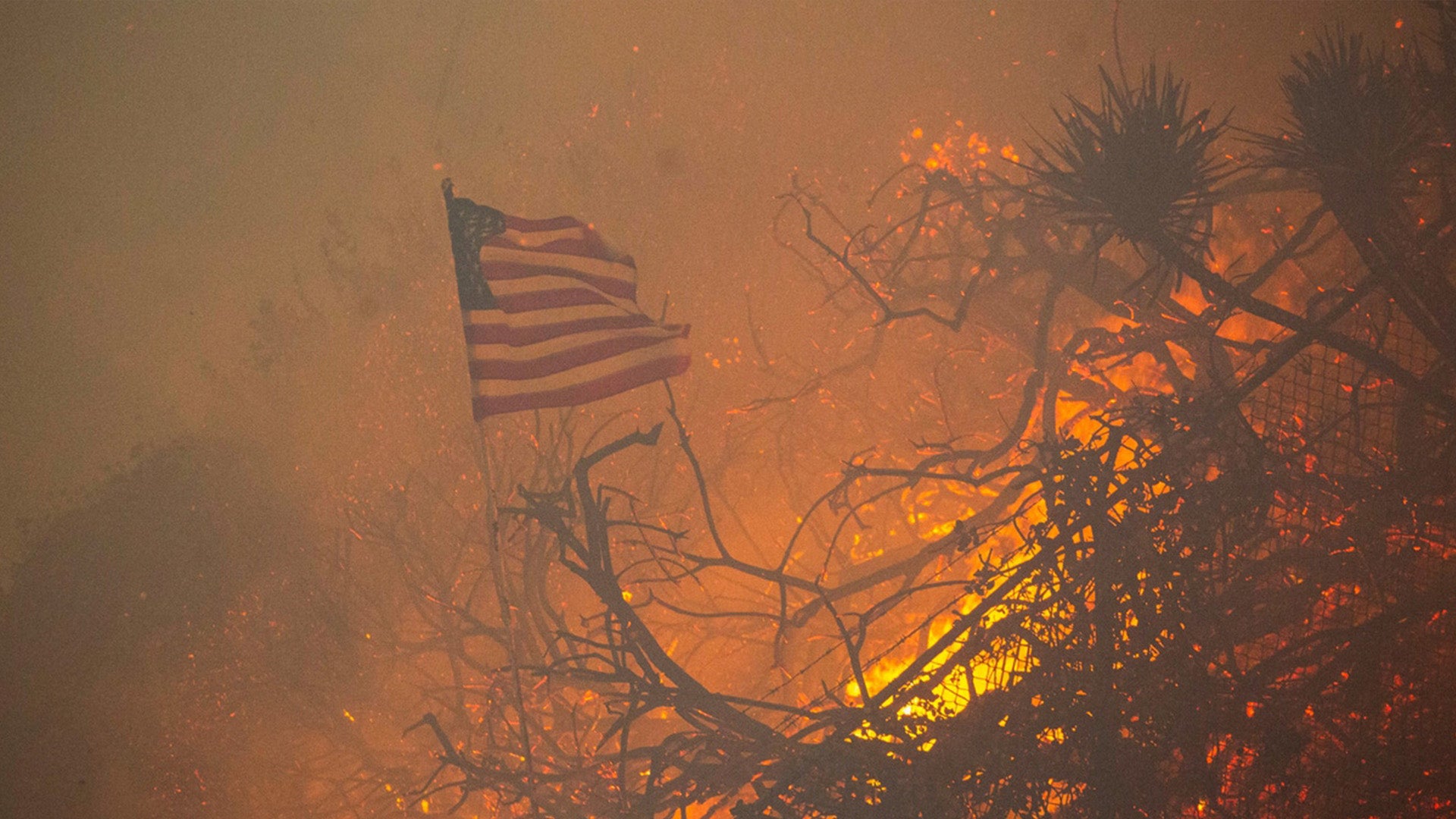 EEUU sigue sin ganar terreno al devastador incendio en Los Ángeles, que deja ya 16 muertos y 9.600 hectáreas calcinadas EEUU sigue sin ganar terreno al devastador incendio en Los Ángeles, que deja ya 16 muertos y 9.600 hectáreas calcinadas