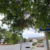 Situación de "abandono" del Paraíso denunciada por el PSOE de La Vila Situación de "abandono" del Paraíso denunciada por el PSOE de La Vila