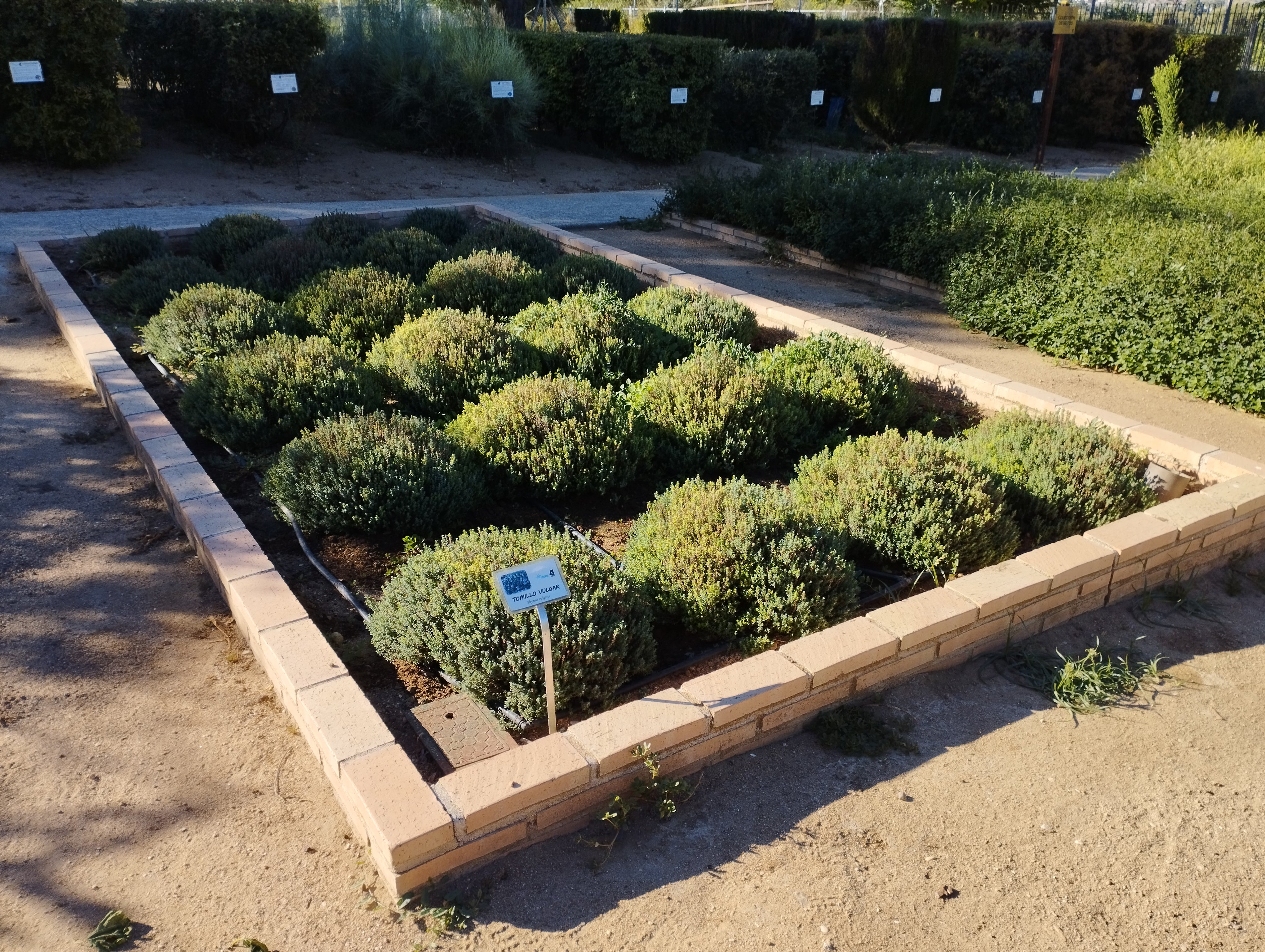 130 colegios se beneficiarán de las ayudas de Diputación de Toledo para huertos ecológicos 130 colegios se beneficiarán de las ayudas de Diputación de Toledo para huertos ecológicos