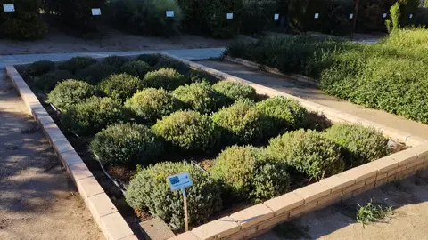 130 colegios se beneficiarán de las ayudas de Diputación de Toledo para huertos ecológicos 130 colegios se beneficiarán de las ayudas de Diputación de Toledo para huertos ecológicos