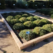 130 colegios se beneficiarán de las ayudas de Diputación de Toledo para huertos ecológicos 130 colegios se beneficiarán de las ayudas de Diputación de Toledo para huertos ecológicos
