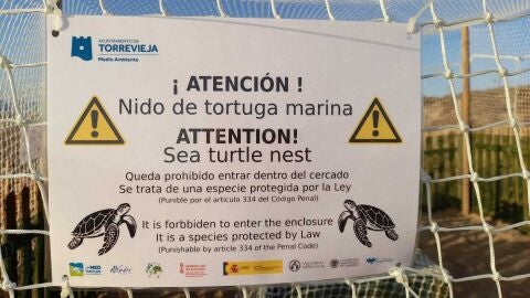 Detalle de la protecci&oacute;n del nido de tortuga boba este pasado verano 