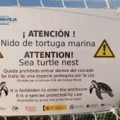 Detalle de la protección del nido de tortuga boba este pasado verano 