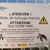 Detalle de la protección del nido de tortuga boba este pasado verano Detalle de la protección del nido de tortuga boba este pasado verano