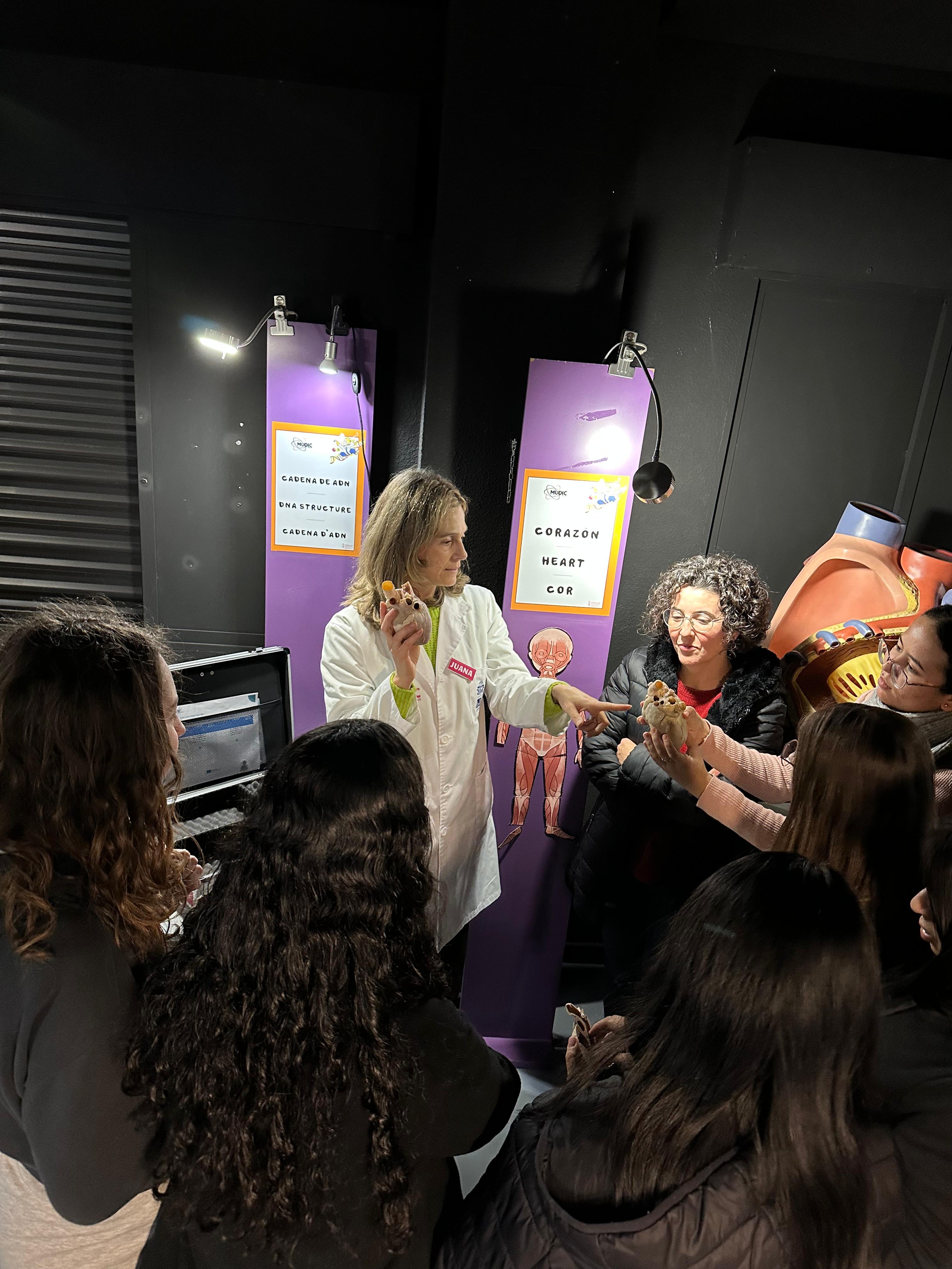 El MUDIC nos enseña hoy la técnica de la plastinación para la conservación de órganos El MUDIC nos enseña hoy la técnica de la plastinación para la conservación de órganos