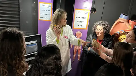 Juana Parres, en el centro, muestra a un grupo de visitantes corazones plastinados Juana Parres, en el centro, muestra a un grupo de visitantes corazones plastinados