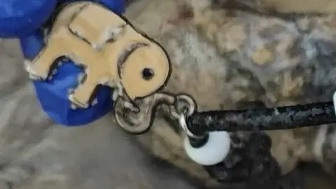 Este colgante en forma de elefante es el único elemento que podría dar una pista sobre la identidad del cuerpo Este colgante en forma de elefante es el único elemento que podría dar una pista sobre la identidad del cuerpo