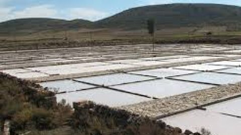 Salinas de Im&oacute;n.