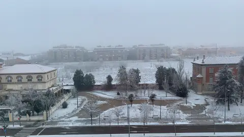 Cencellada en Valladolid Cencellada en Valladolid