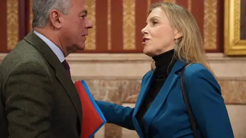 El alcalde de Sevilla y la portavoz de Vox se saludan durante el pleno extraordinario de presupuestos, en el Salón Colón del Consistorio. El alcalde de Sevilla y la portavoz de Vox se saludan durante el pleno extraordinario de presupuestos, en el Salón Colón del Consistorio.
