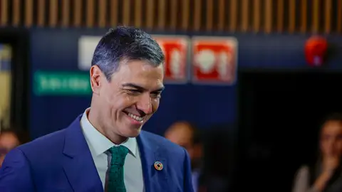 El presidente del Gobierno, Pedro Sánchez El presidente del Gobierno, Pedro Sánchez/ EFE/ Javier Lizón