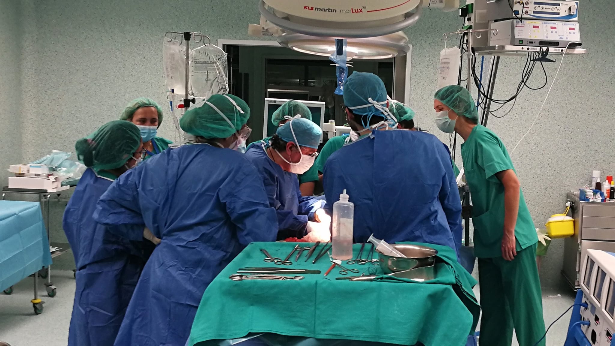 Aragón realizó 115 trasplantes de órganos en 2024 Aragón realizó 115 trasplantes de órganos en 2024