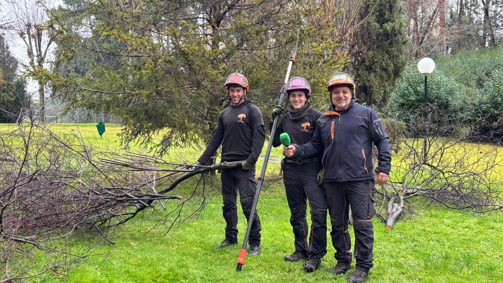 La poda: consejos y malas prácticas a evitar La poda: consejos y malas prácticas a evitar
