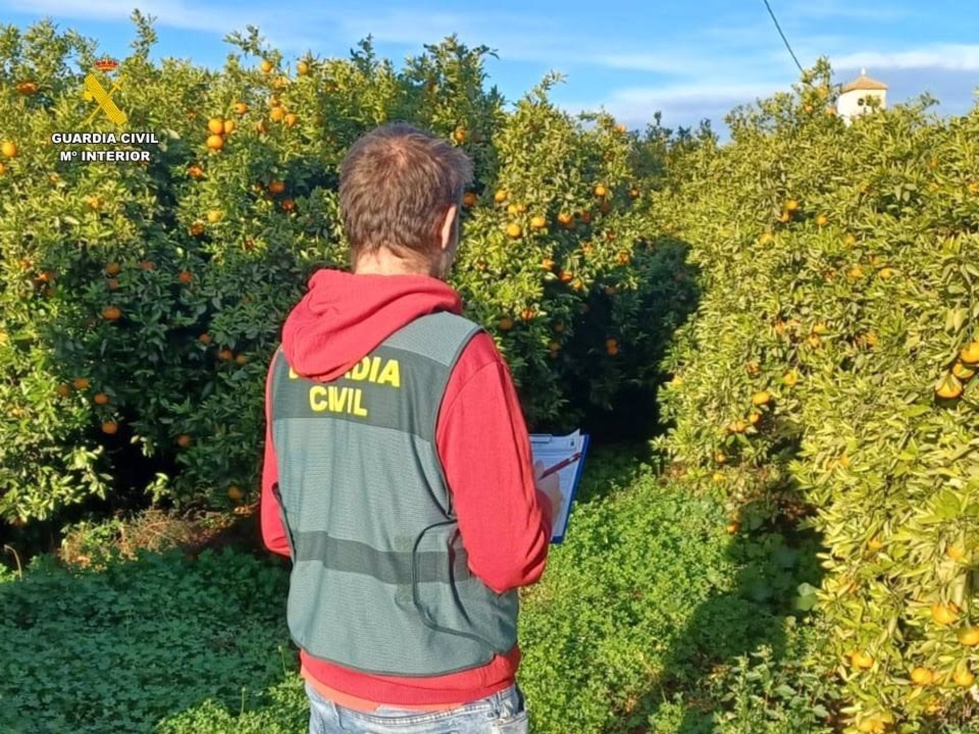 Cuatro detenidos en Pego al estar buscados por la justicia española y extranjera Cuatro detenidos en Pego al estar buscados por la justicia española y extranjera