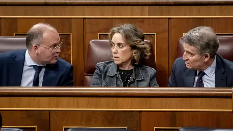 Miguel Tellado, Cuca Gamarra y Alberto Núñez Feijóo en el Congreso de los Diputados Miguel Tellado, Cuca Gamarra y Alberto Núñez Feijóo en el Congreso de los Diputados
