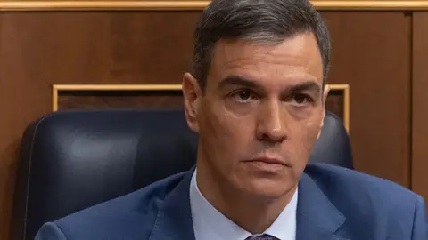 Pedro Sánchez en el Congreso de los Diputados Pedro Sánchez en el Congreso de los Diputados