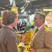 Rincón FITUR Rincón FITUR