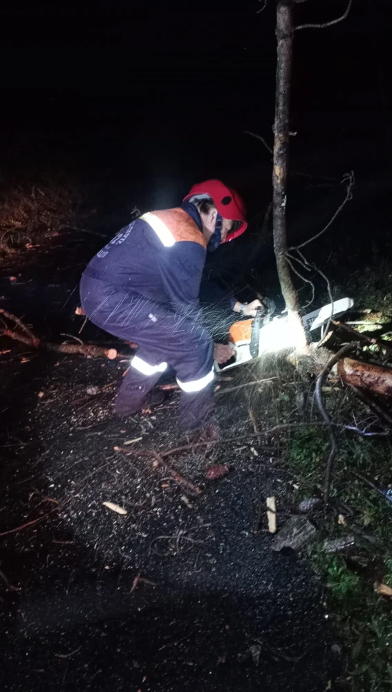 Momento de la operación de liberación del coche atrapado por arboles. Momento de la operación de liberación del coche atrapado por arboles.