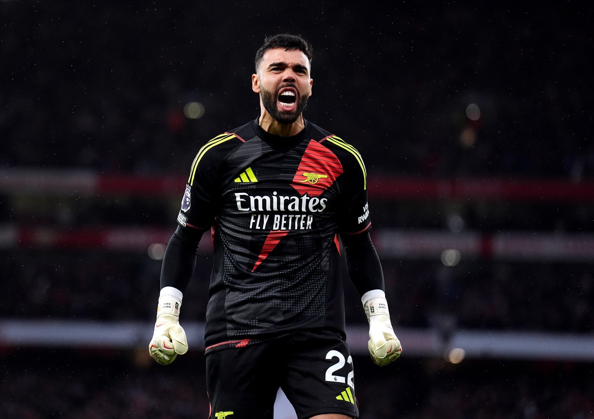 David Raya, sobre el debate en la portería de la selección española: "He intentado ponérselo difícil al míster" David Raya, sobre el debate en la portería de la selección española: "He intentado ponérselo difícil al míster"