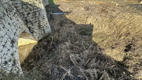 Villamuriel exige a la Confederación Hidrográfica del Duero la limpieza del cauce del Río Carrión a su paso por la localidad .