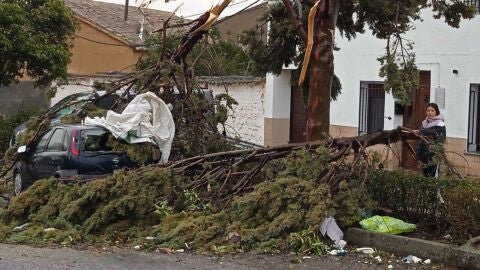 El fuerte viento ha azotado duramente a Torre de Juan Abad