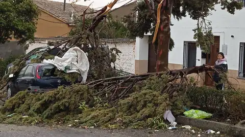 El fuerte viento ha azotado duramente a Torre de Juan Abad El fuerte viento ha azotado duramente a Torre de Juan Abad