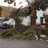 El fuerte viento ha azotado duramente a Torre de Juan Abad
