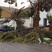 El fuerte viento ha azotado duramente a Torre de Juan Abad El fuerte viento ha azotado duramente a Torre de Juan Abad