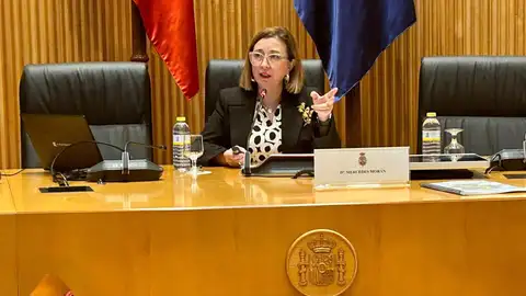 Morán presenta en una jornada en el Congreso de los Diputados la planificación estratégica de Extremadura Morán presenta en una jornada en el Congreso de los Diputados la planificación estratégica de Extremadura