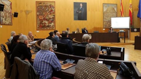 Consejos de participaci&oacute;n de Benidorm