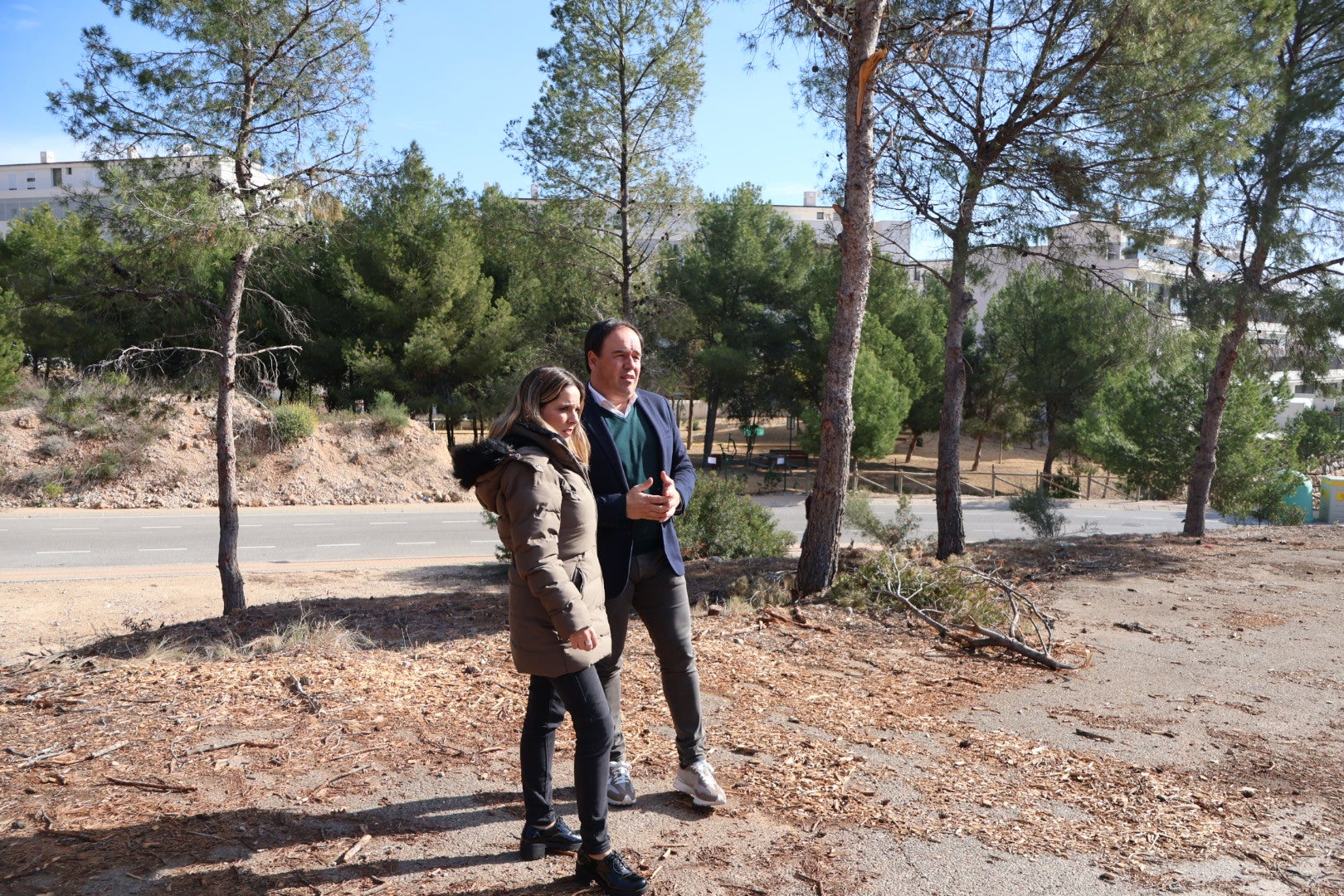 Finestrat refuerza actuaciones para prevenir incendios y proteger sus espacios verdes de procesionaria de pinos y picudos en palmeras Finestrat refuerza actuaciones para prevenir incendios y proteger sus espacios verdes de procesionaria de pinos y picudos en palmeras