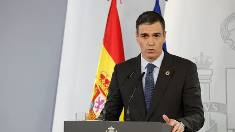 El presidente del Gobierno, Pedro Sánchez, durante la rueda de prensa El presidente del Gobierno, Pedro Sánchez, durante la rueda de prensa/ EFE/J.P. Gandul